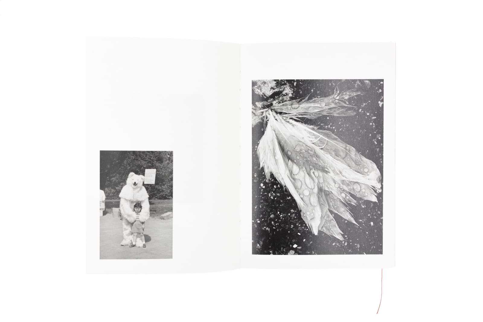 WYOJCOWANIE | Joanna Tyczyńska - Image 3