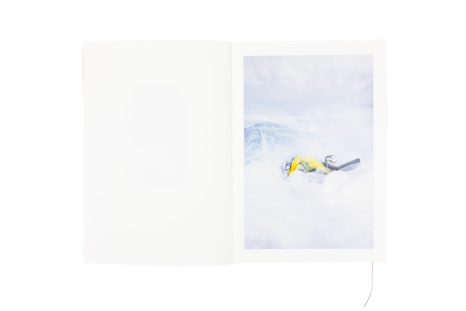 WYOJCOWANIE | Joanna Tyczyńska - Image 2